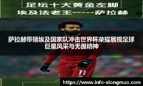 萨拉赫带领埃及国家队冲击世界杯荣耀展现足球巨星风采与无畏精神