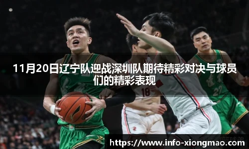 11月20日辽宁队迎战深圳队期待精彩对决与球员们的精彩表现