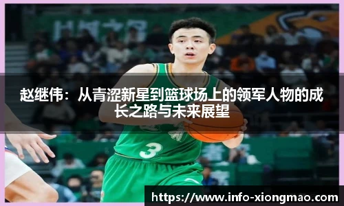赵继伟：从青涩新星到篮球场上的领军人物的成长之路与未来展望