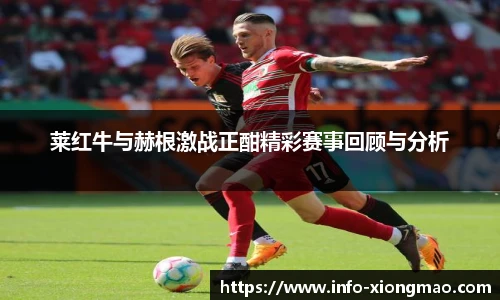 莱红牛与赫根激战正酣精彩赛事回顾与分析